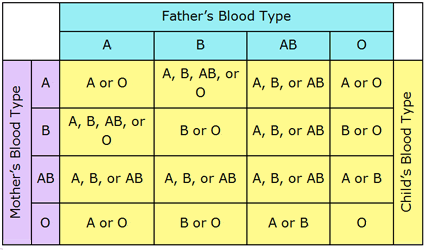 Paternity Checking With Blood Types Paternitytesting Com